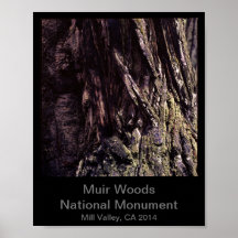 8 x 10 - Muir Skogen nationalmonument Färg (Mörk)