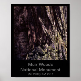 8 x 10 - Muir Skogen nationalmonument Färg (Mörk) Poster