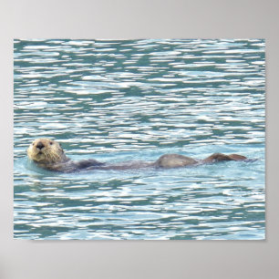 8x10 Poster Papper (projektionsyta) med utträde