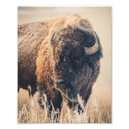 8x10 Print - Frosty Morning Fototryck