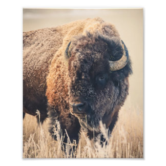 8x10 Print - Frosty Morning Fototryck