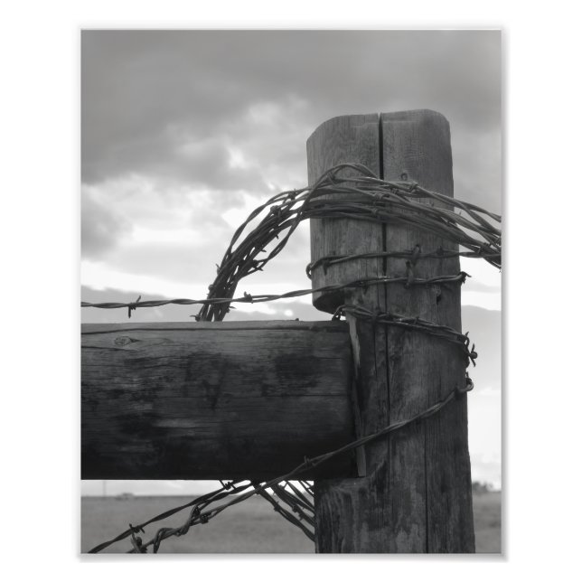 8x10 Print - Wood & the Wire Fototryck (Framsidan)