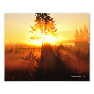8X10 Soluppsåtsfog i nordvästra Stilla havet Fototryck