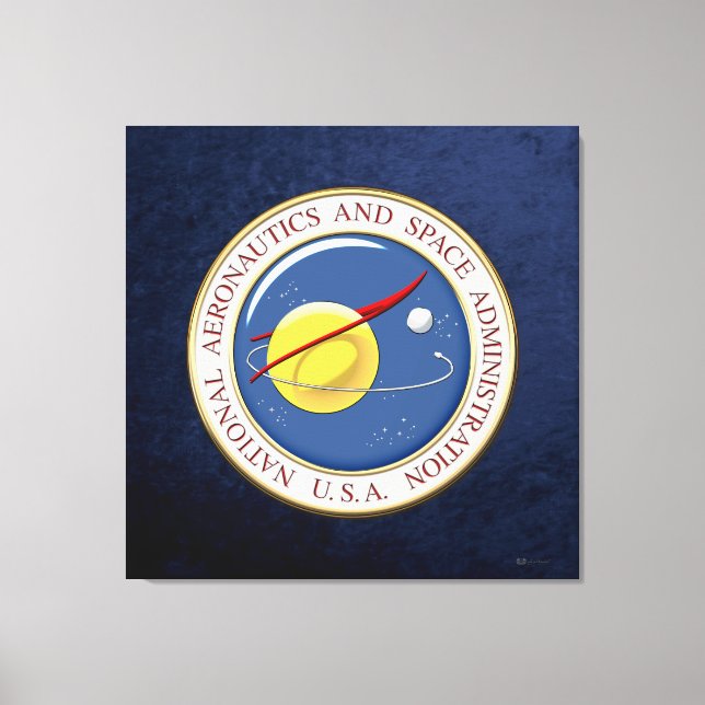 [900] NASA Emblem [3D] Canvastryck (Framsida)