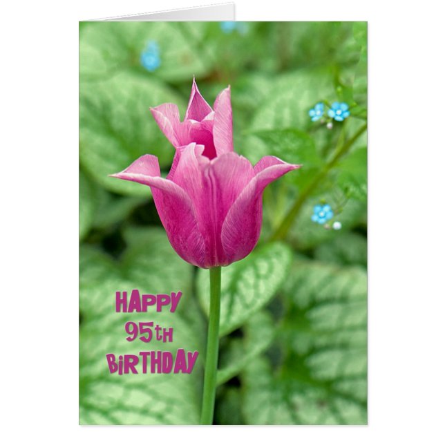 95:e födelsedagstulpanen hälsningskort (Framsidan)