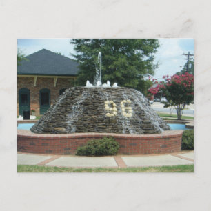 96, South Carolina 2009 Vykort