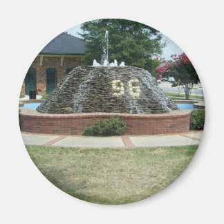 96, South Carolina Magnet