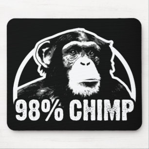 98 procent schimpans musmatta
