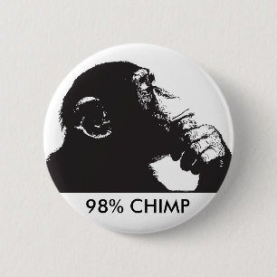 98% SCHIMPANS KNAPP