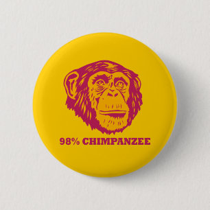 98% schimpans knapp