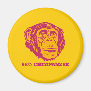 98% schimpans magnet