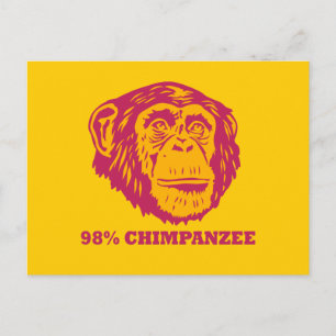 98% schimpans vykort