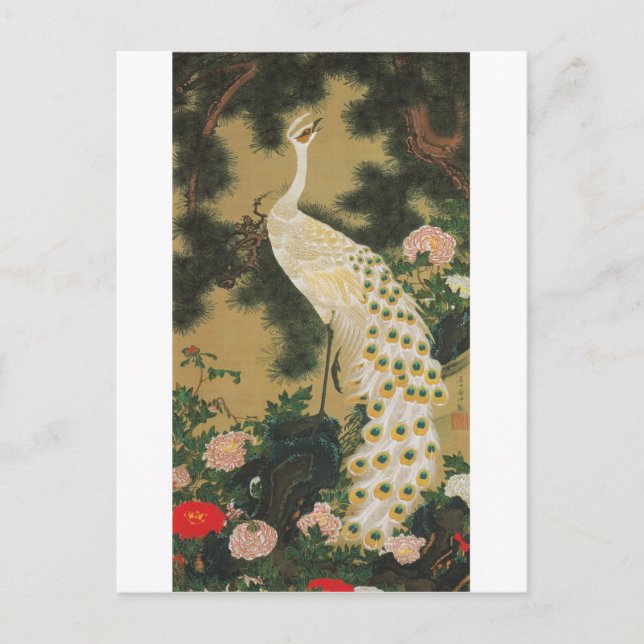 9. 老松孔雀図, gammal Gräs-träd för 若冲 och påfågel, Vykort (Framsida)