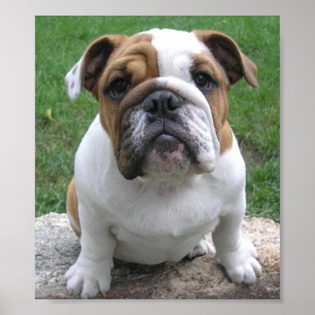 9-17-05 003 POSTER (Framsidan)