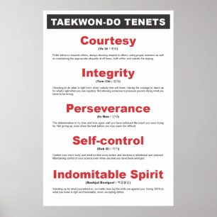 9-2 generiskt Taekwon-Gör lärosatsaffischen Poster