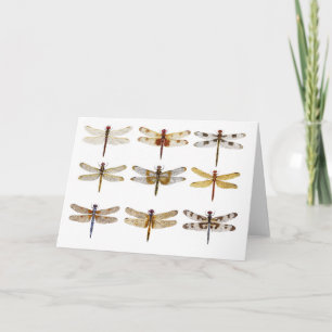 9 Dragonfly Art Kort