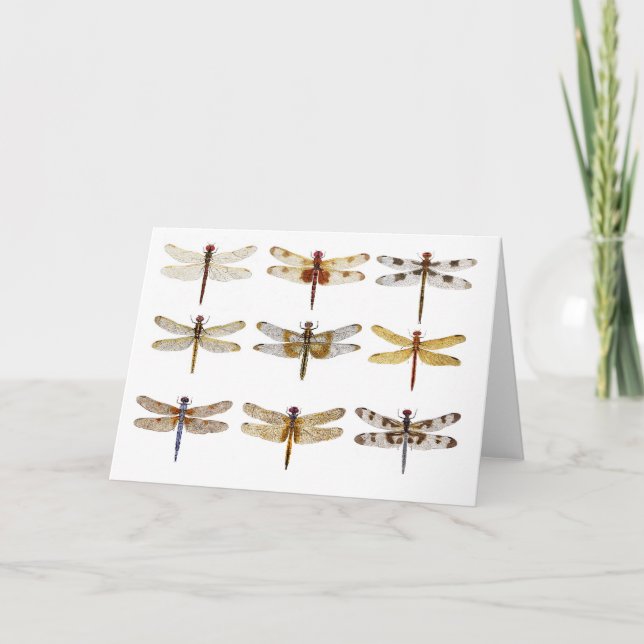 9 Dragonfly Art Kort (Framsida)