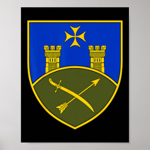 9:e armékåren (Ukraina) Ukrainska militären Poster