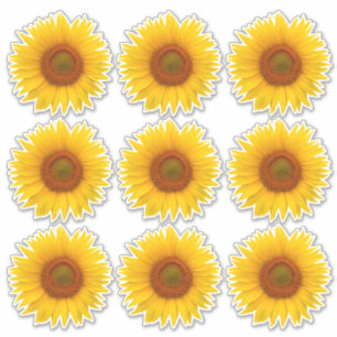 9 gula orange solrosblommor Kiss-Cut-klistermärken Klistermärken