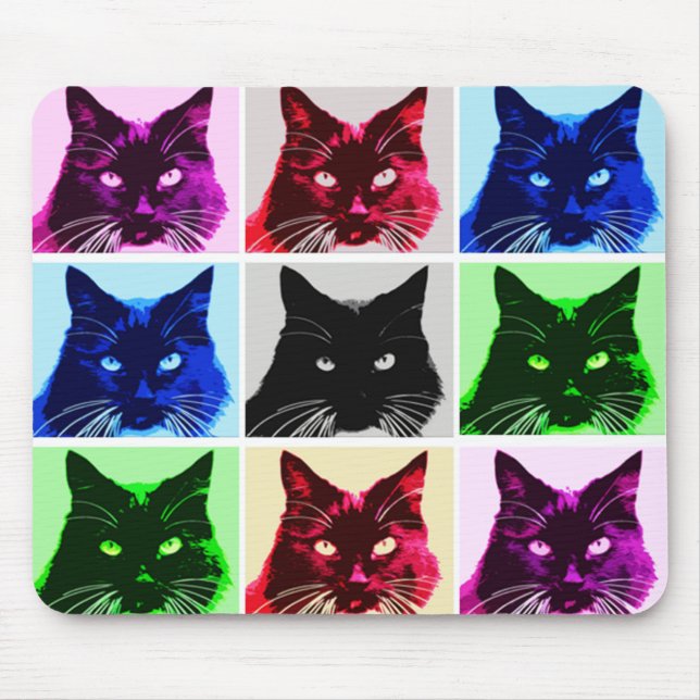 9 liv katt musmatta (Framsidan)
