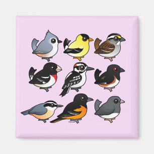9 nordostliga USA trädgårdfåglar Magnet