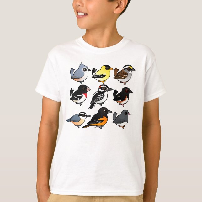 9 nordostliga USA trädgårdfåglar T Shirt (Framsida)