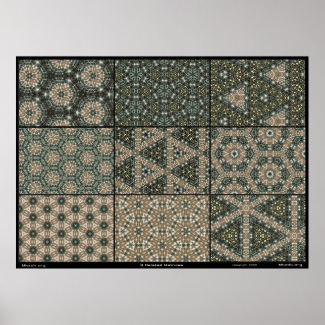 9 Relaterade matriser Poster (Framsidan)