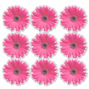9 rosa Gerbera Daisy blomma kiss-cut klistermärken