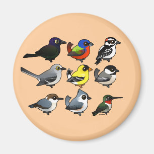9 Sydöstra USA Backyard Birds Magnet