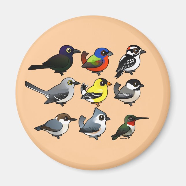 9 Sydöstra USA Backyard Birds Magnet (Framsidan)
