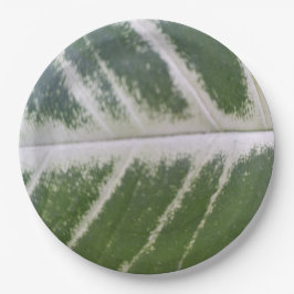 9 tum Elegant Grönt Löv med fin vit linje