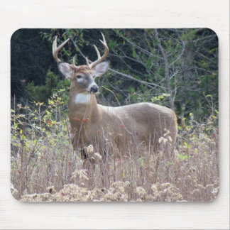 9 tum x 8 tum musknapp musmatta