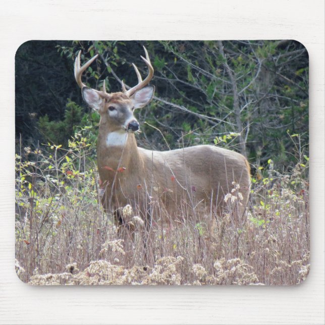 9 tum x 8 tum musknapp musmatta (Framsidan)