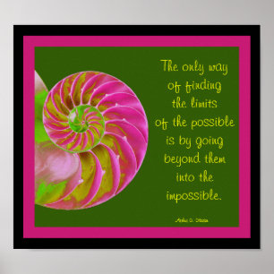 A001 Chamoned Nautilus - Offert Poster