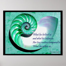 A01 Nautilus-Snäcka Poster med inspirationsoffert