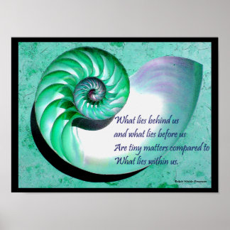 A01 Nautilus-Snäcka Poster med inspirationsoffert