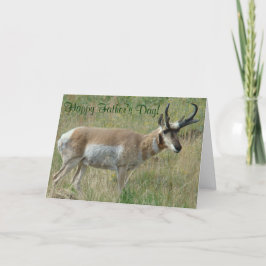 A12 Pronghorn Antelope Buck Kort