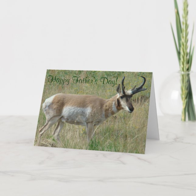 A12 Pronghorn Antelope Buck Kort (Framsida)