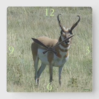 A13 Pronghorn Antelope Buck Fyrkantig Klocka