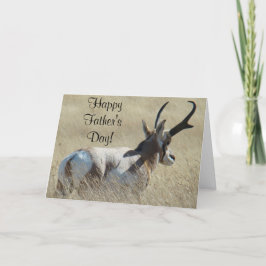 A14 Pronghorn Antelope Sunshine Buck Kort
