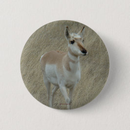 A17 Pronghorn Antelope Knapp