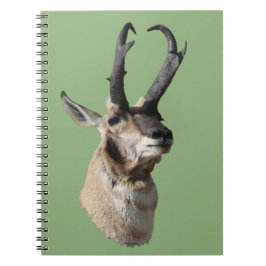 A18 Pronghorn Antelope Buck Head Shot Anteckningsbok
