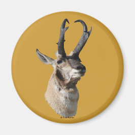 A18 Pronghorn Antelope Buck Head Shot Magnet