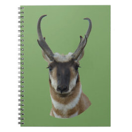 A19 Pronghorn Antelope Mörk Ansikte Buck Head Shot Anteckningsbok