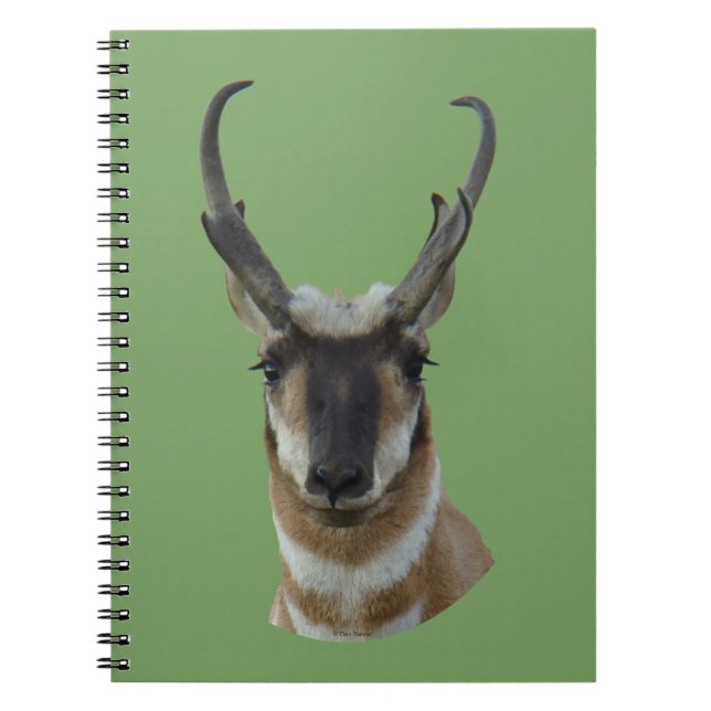 A19 Pronghorn Antelope Mörk Ansikte Buck Head Shot Anteckningsbok (Framsidan)