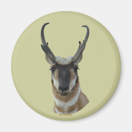 A19 Pronghorn Antelope Mörk Ansikte Buck Head Shot Magnet