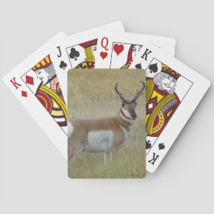 A1 Gaffel Antilop Stor Bock Casinokort