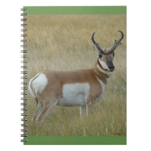 A1 GaffelAntilop Stor Bock Anteckningsbok