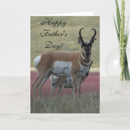A24 Pronghorn Antelope Buck Kort