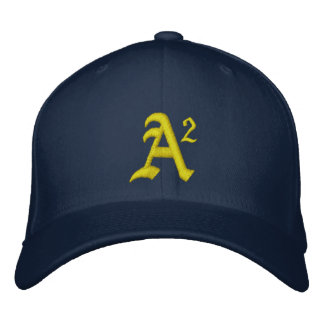 A2 MICHIGAN BRODERAD KEPS